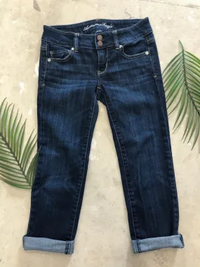 American Eagle Capri - Size 00