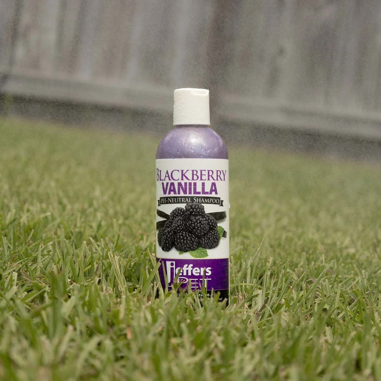 Jeffers Blackberry Vanilla pH-Neutral Pet Shampoo